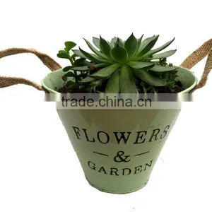 Home Garden, Plant Pots, Gardening Pots thumbnail-2