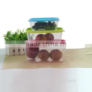 Transparent Preservation Box With Color Lid thumbnail-2