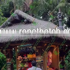 Thatch Roof thumbnail-1