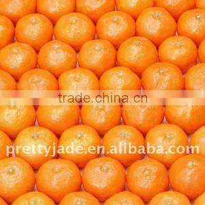 Chinese Baby Mandarin Orange thumbnail-1