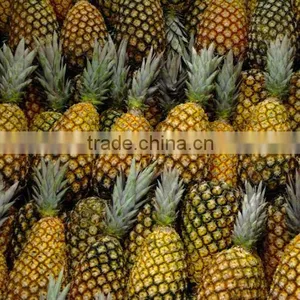 Fresh Pineapple ( Tropical Fruit) thumbnail-2