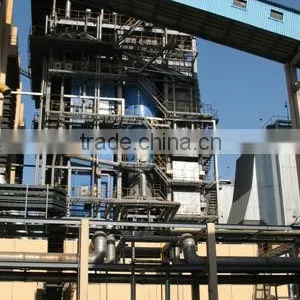 ASME Certification Circulating Fluidized Bed CFB Biomass Steam Boiler for Industry thumbnail-1