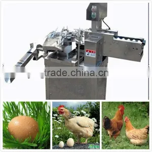 China 3000pcs/h Stainless Egg Breaking Machine/hen Egg Breaker(008613823737025) thumbnail-1