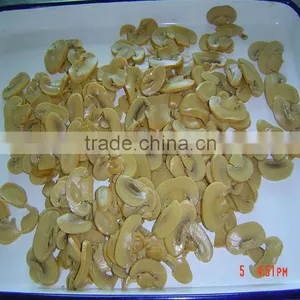 Mushroom Manufacturing Champignon Mushrooms In Tins Oyster Mushrooms thumbnail-3