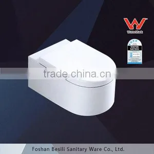 Washdown Wall Hung Toilet With Watermark and Wels Concealed Cistern 2044W thumbnail-1