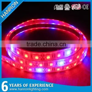 Shenzhen Factory Growing Lights LED 3w LED Grow Light for Growing thumbnail-1