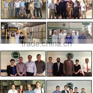 Biodegradable Paper Dish Pulp Molding Machine Price Interesting by HGHY thumbnail-3