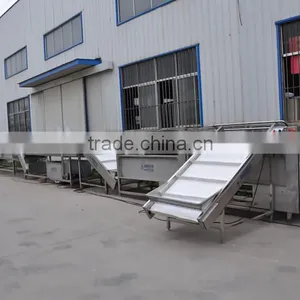 Fruit and Vegetable Processing Line thumbnail-1