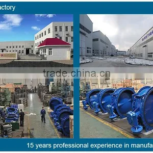 Tianjin Ansheng Valve Co., Ltd. company overview - view 2 thumbnail