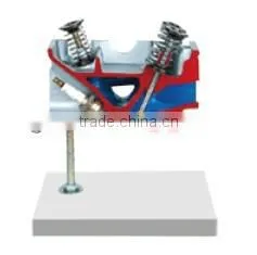 3 Valves Engine Cylinder Head Dissection Model thumbnail-1