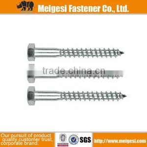 M10*200 DIN571 -hex Head Wood Screw thumbnail-1