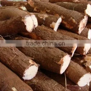 TAPIOCA FLOUR VIETNAM/CASSAVA STARCH (Viber/Whatsaap: 0084965152844) thumbnail-5