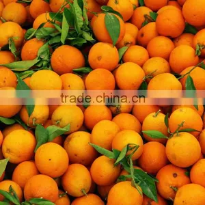 FRESH ORANGES thumbnail-1