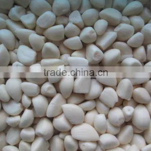 Factory of Frozen Peeled Garlic thumbnail-4