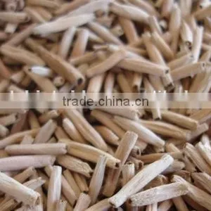 Adenium Obesum Seeds thumbnail-4