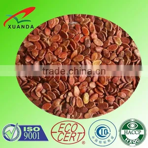 Hot Sale High Quality Black & Red Watermelon Seed From China thumbnail-2