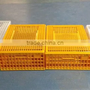 Best Quality Chicken Transport Cage , Chicken Plastick Cage, Chicken Plastic Box thumbnail-6