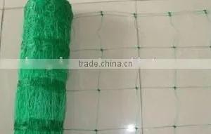 Plant Climbing Plastic Net thumbnail-1