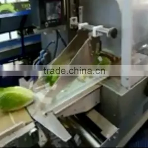 Aubergines Vegetable Packing Machine thumbnail-1