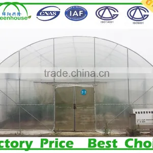 Hot Sale Agricultural Tomato Greenhouse Farming thumbnail-4