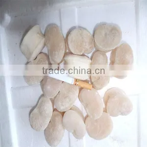 IQF New Season Frozen Seafood Fresh Scallops thumbnail-1