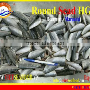 FROZEN ROUND SCAD HGT thumbnail-1