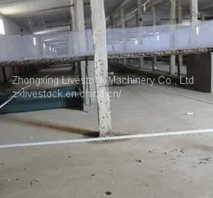 Automatic Manure Cleaning Machine thumbnail-5