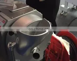 Stainless Steel Fruit and Vegetable Slice Cutting Machine thumbnail-1
