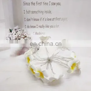 LED Frangipani Flower String Light Fairy Light For Home Party Wedding Decoration thumbnail-3