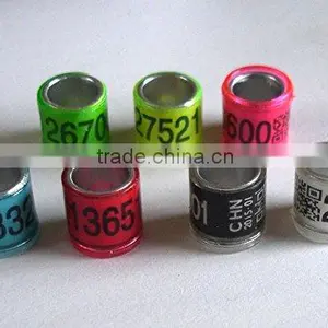 Band Pigeon Ring With Aluminum and Plastic Coat thumbnail-1