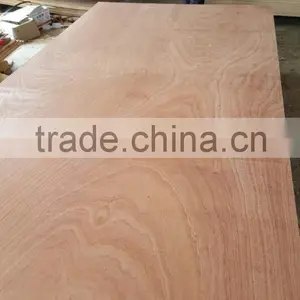 1220 x 2440 mm Plywood Prices thumbnail-5