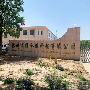 Shandong Qishenglitong International Trade Co., Ltd. company overview - view 1 thumbnail