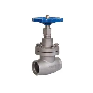 Manufacturer Direct Sales Thread Low-temperature Globe Valve thumbnail-2