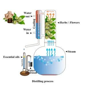 100L - 500L Honeysuckle Plant Flower Leaf Essential Oil Extractor Extraction Machine Essential Oil Distillation Equipment thumbnail-6