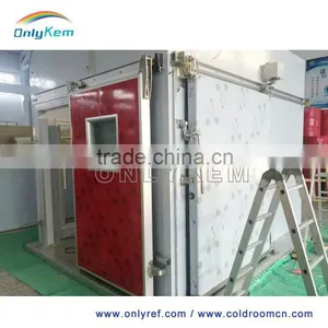 Chiller Room Sliding Door thumbnail-1