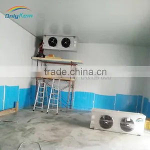 Preservation Cold Storage for Fresh Banana Quality Choice thumbnail-5