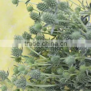 Decorative New Products Preserved Cherry Tomato Whole thumbnail-2