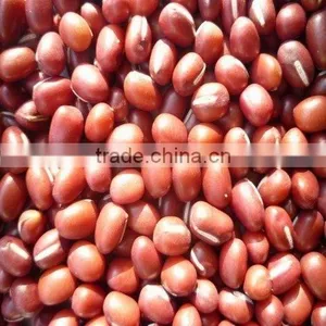 Red Bean thumbnail-1