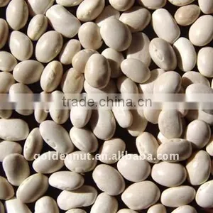 Small White Kidney Beans (japan White) thumbnail-1