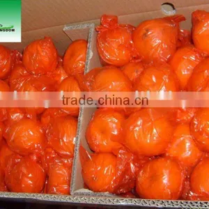 Mandarin Orange thumbnail-1