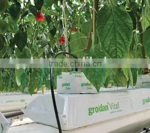 Tomato Cucumber Planting Bar Greenhouse Soilless Cultivation Rock Sliver thumbnail-4