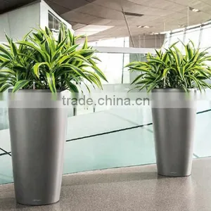 Soft Touch Leaves Artificial Rohdea Plant thumbnail-5