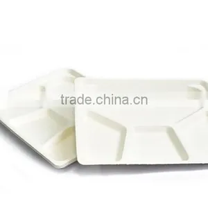 HGHY Bagasse Plate Machine of Pulp Molding China thumbnail-6