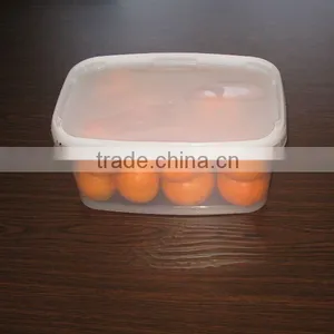 3L Plastic Rectangular Bucket for Fruit thumbnail-1
