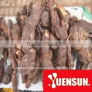 Organic Fleeceflower Root Extract 10:1, 16:1 thumbnail-1