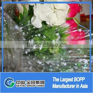 Flower Cpp Film thumbnail-1