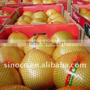 Fresh Honey Pomelo From China thumbnail-1