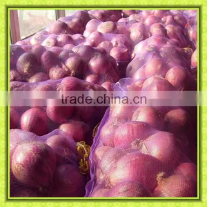 Fresh Yellow/Red Onion Supplier/Producer/Farmer thumbnail-2