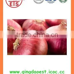 Fresh New Crop Red Onion From China thumbnail-2