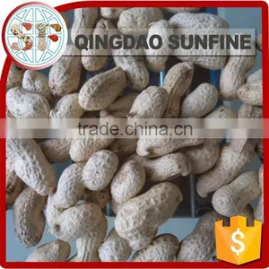 Crispy Organic Roasted Peanuts in Shell thumbnail-1